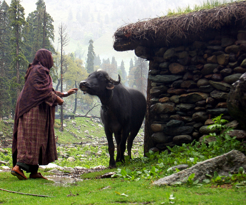 Aru valley short hike