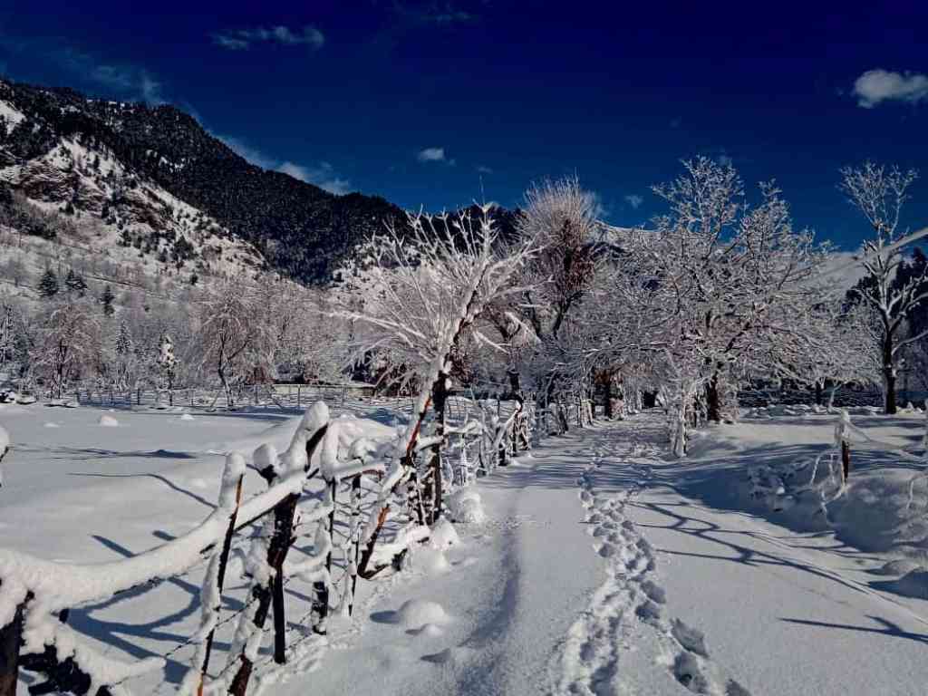 Winter Sightseeing in Pahalgam 
