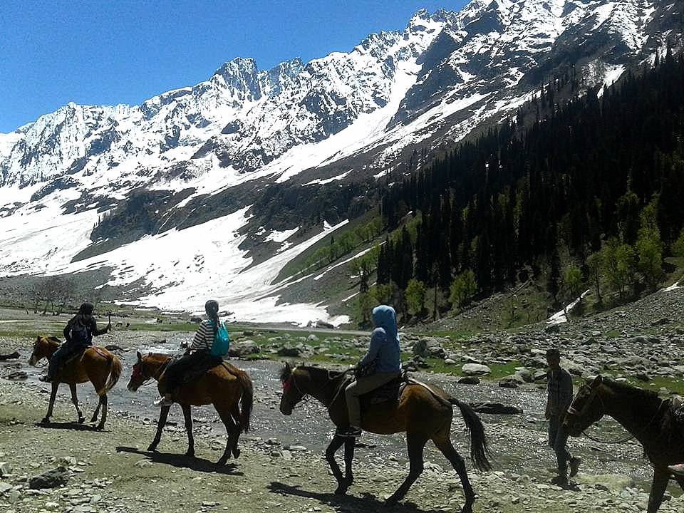 Sonamarg Tajwais tour