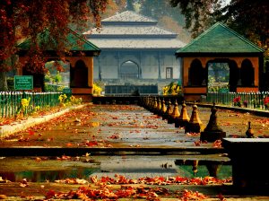  Srinagar mughal garden 