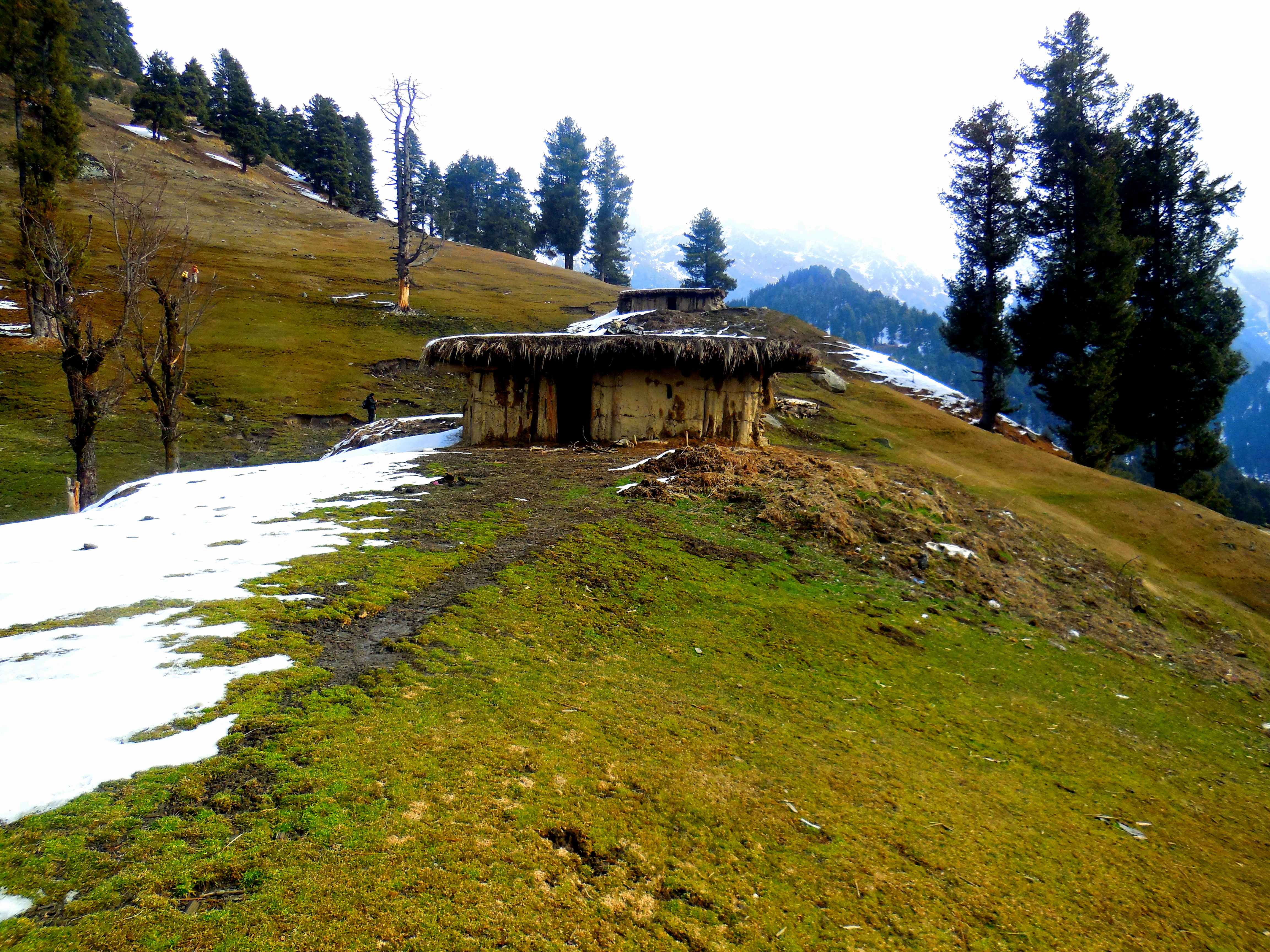 Short treks in Kashmir